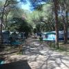 Campo da campeggio tra alberi.