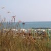 Spiaggia vista tra le dune, con ombrelloni bianchi e mare azzurro sullo sfondo.