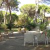 Sedie e tavoli all'aperto tra pini e vegetazione rigogliosa.